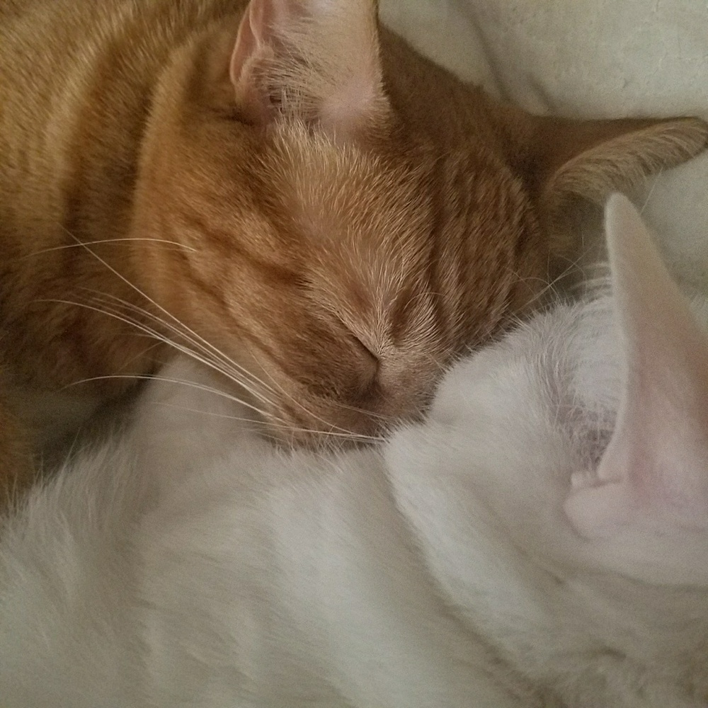 Save On Two Or More Items! - image 1